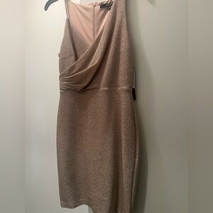 Cynthia Steffe Pink Glitter Dress